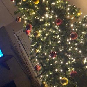 Meet your Posher, Antonio